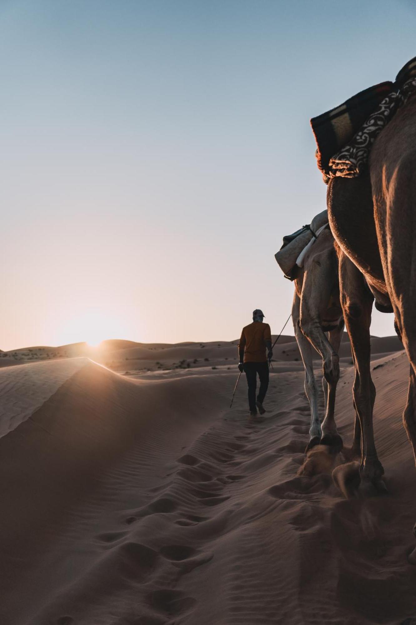 Hamood Desert Private Camp Al Wāşil 外观 照片