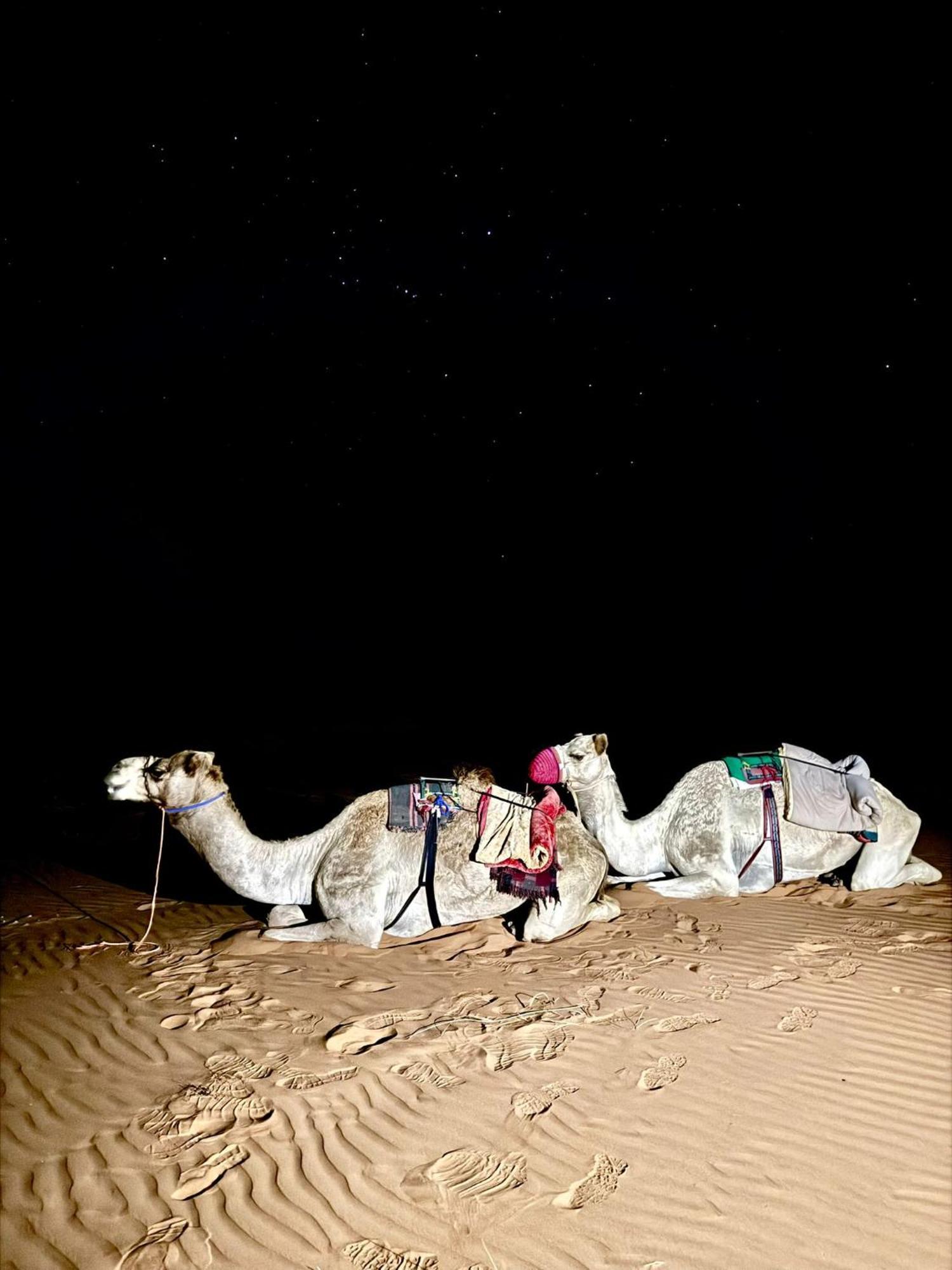 Hamood Desert Private Camp Al Wāşil 外观 照片
